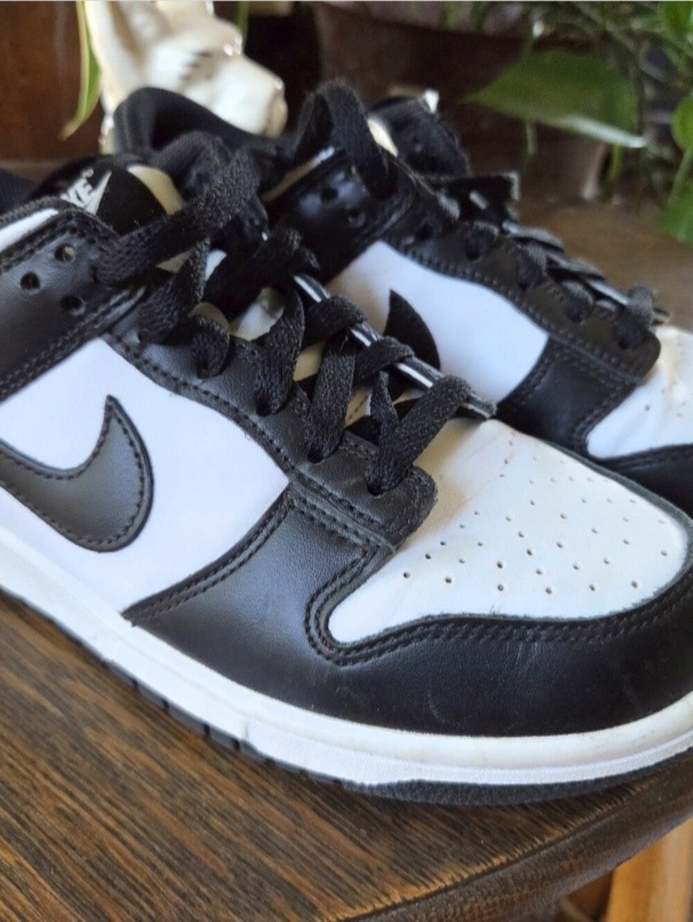 Nike Dunks